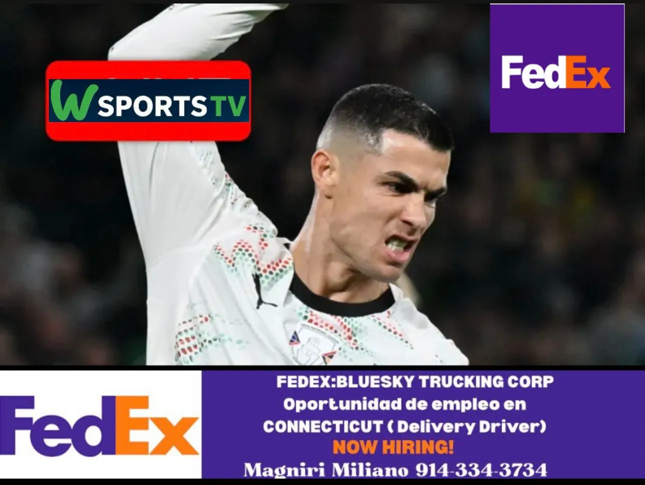 Irlanda derrota a Portugal 2-0 y Cristiano Ronaldo sale expulsado por tarjeta roja!